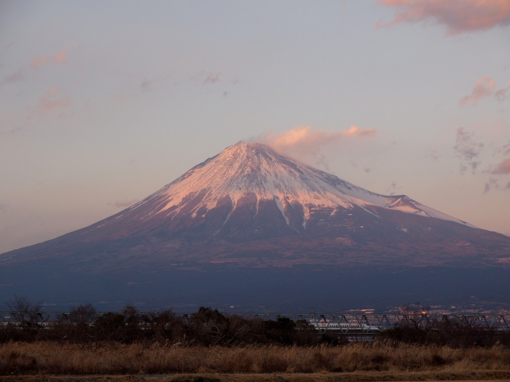 �V�����Ɨ[�Ă��̕x�m�R