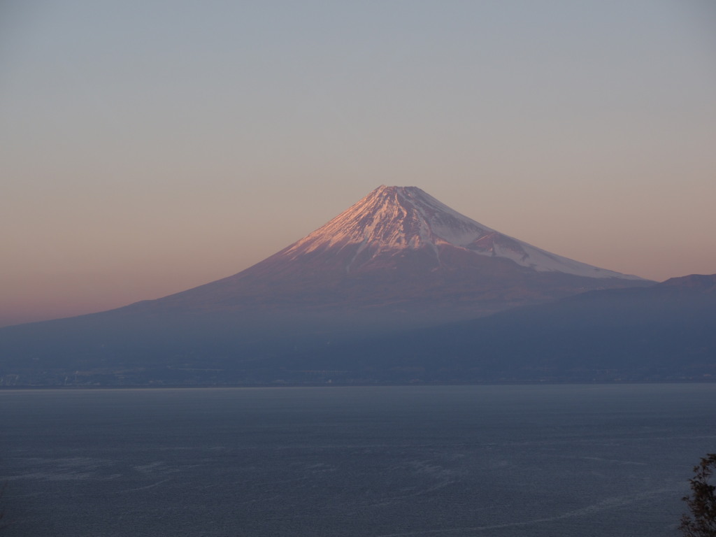 �o����������̕x�m�R