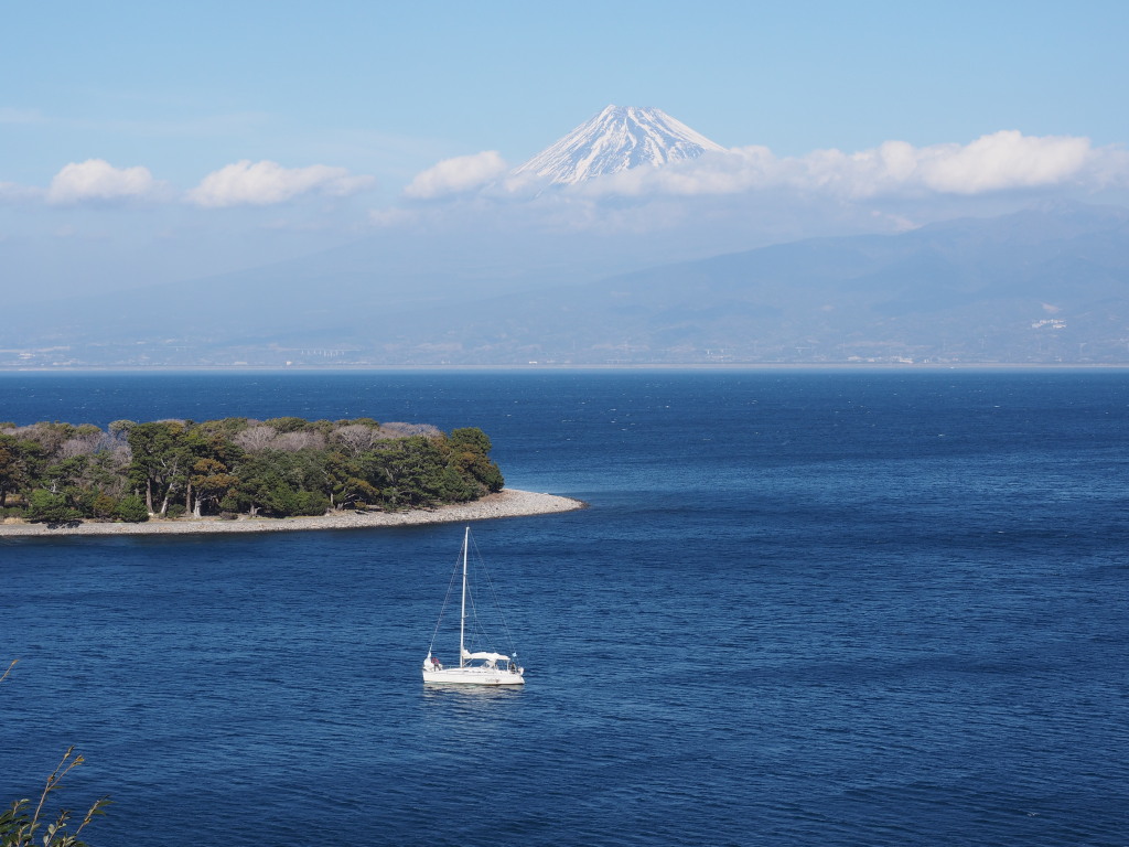 �吣�肩��̕x�m�R