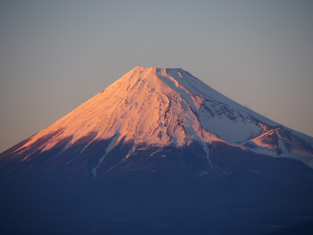 ��l��������̗[�Ă��̕x�m�R