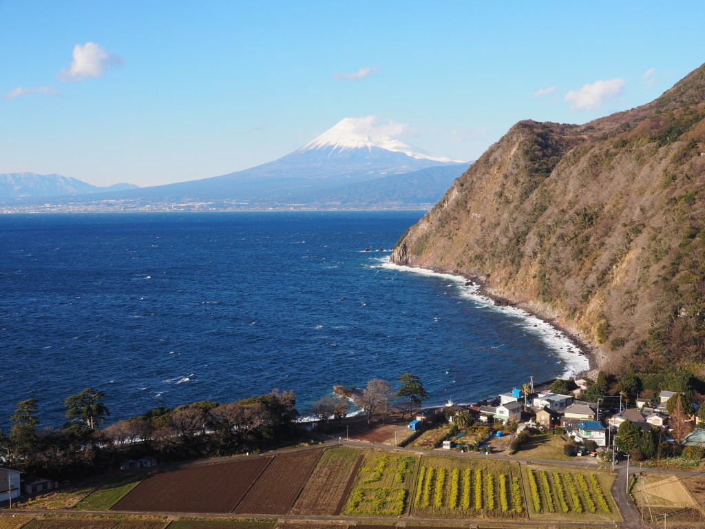 ��c����̕x�m�R