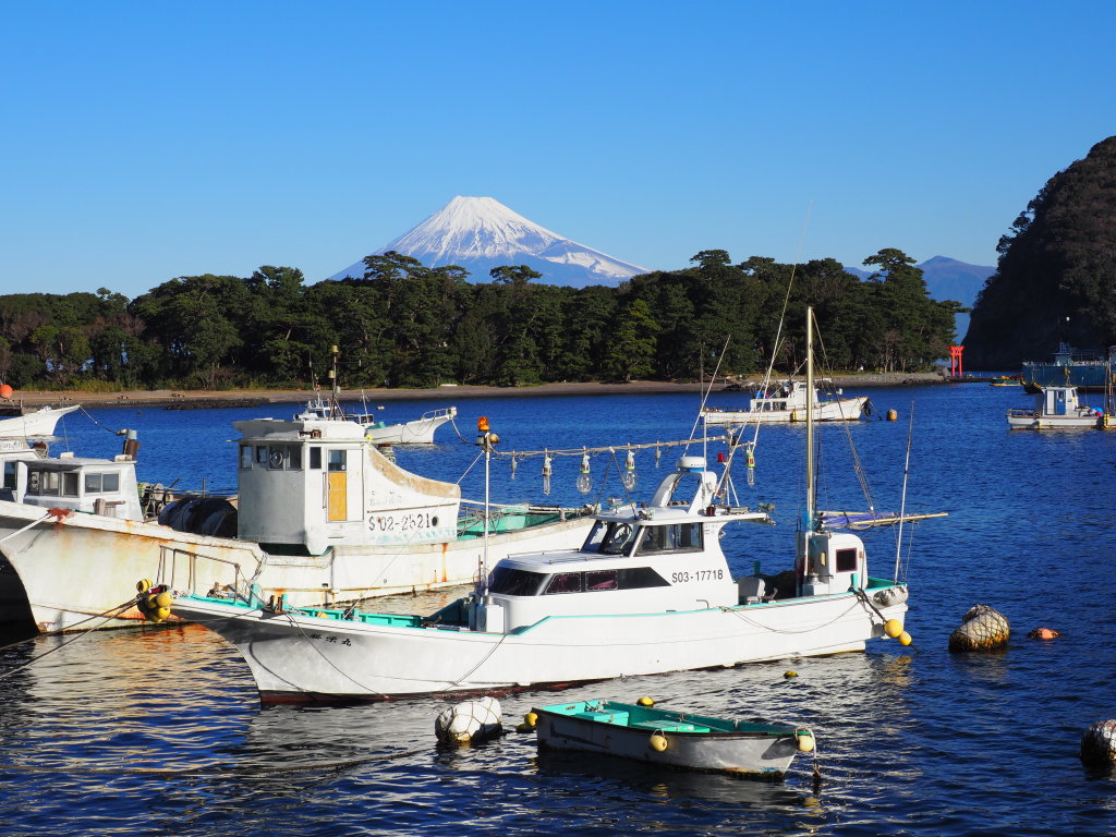 ��l�`�̕x�m�R