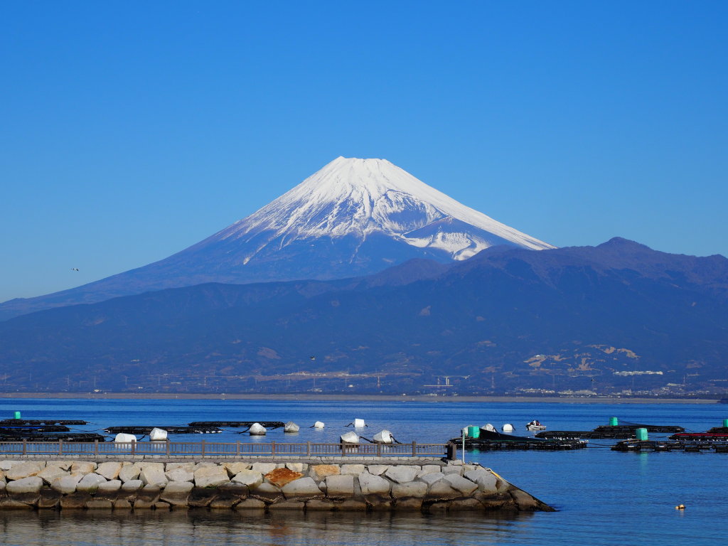 ����T���r�[�`�̕x�m�R