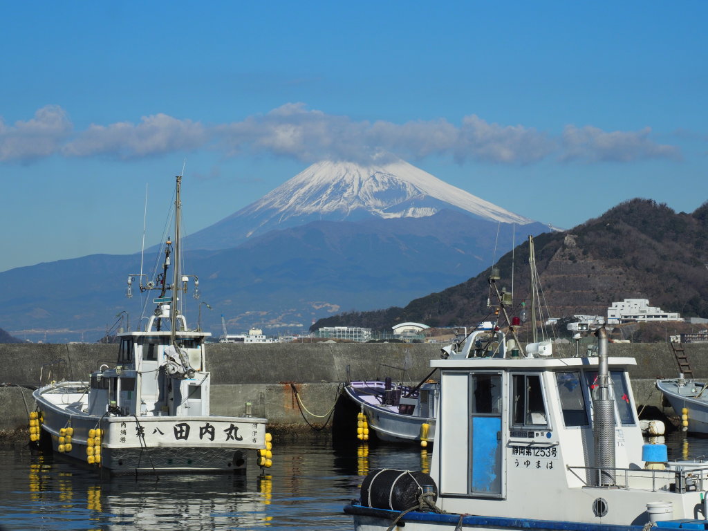 �O�Â̕x�m�R