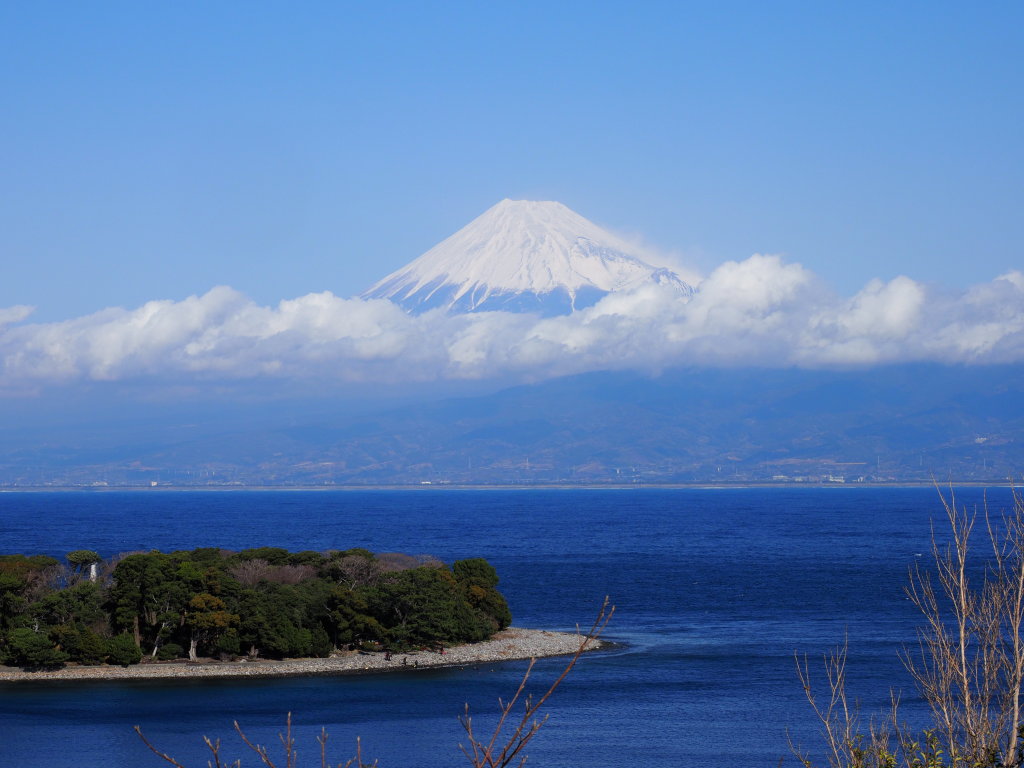 �吣�肩��̕x�m�R