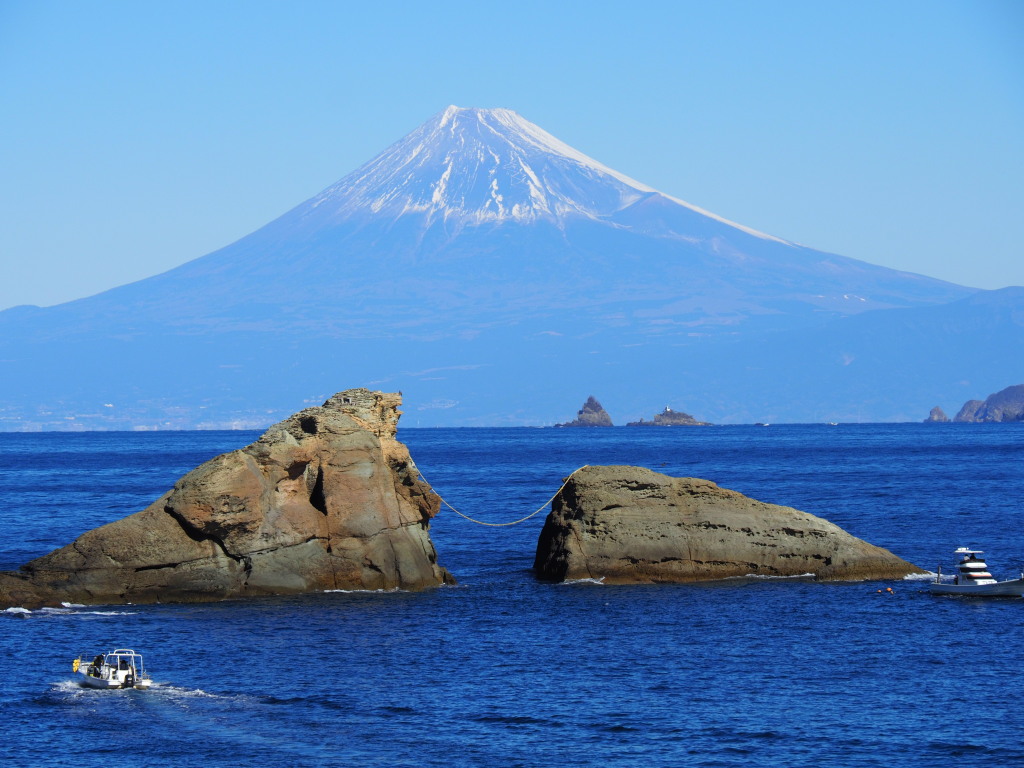 �_���̕x�m�R