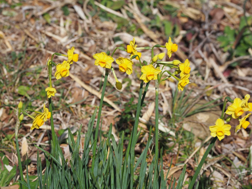 ���F�̐���