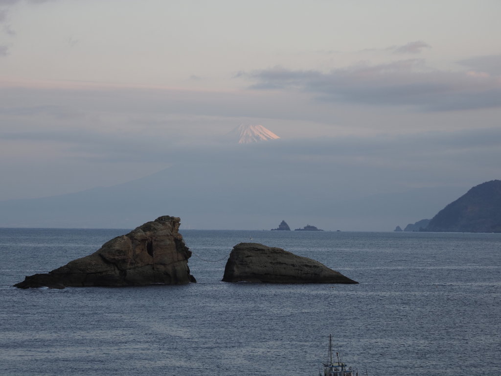 �_������̒��Ă�