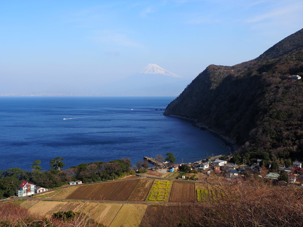 ���߂��̋u����̕x�m�R