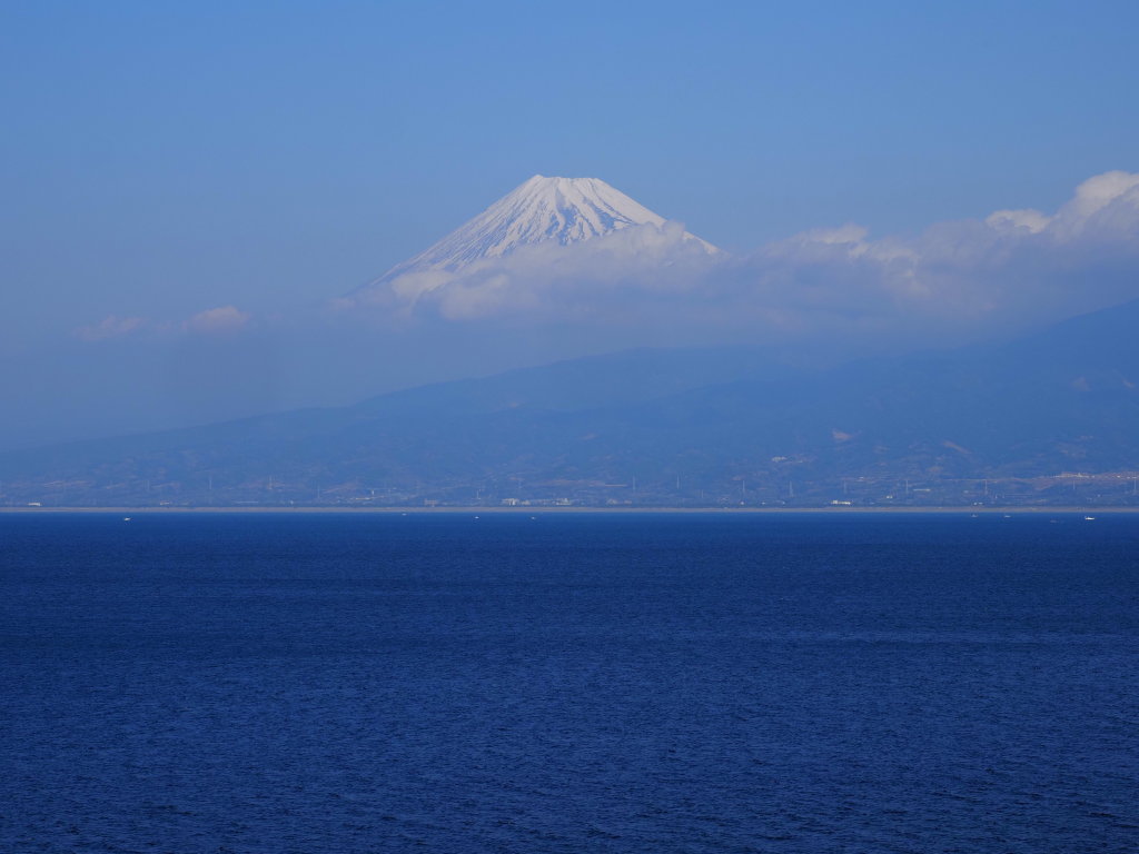 ���Y����̕x�m�R