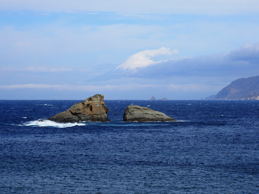 �_���̕v�w��