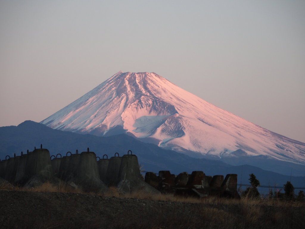 ���삩��̒��Ă�