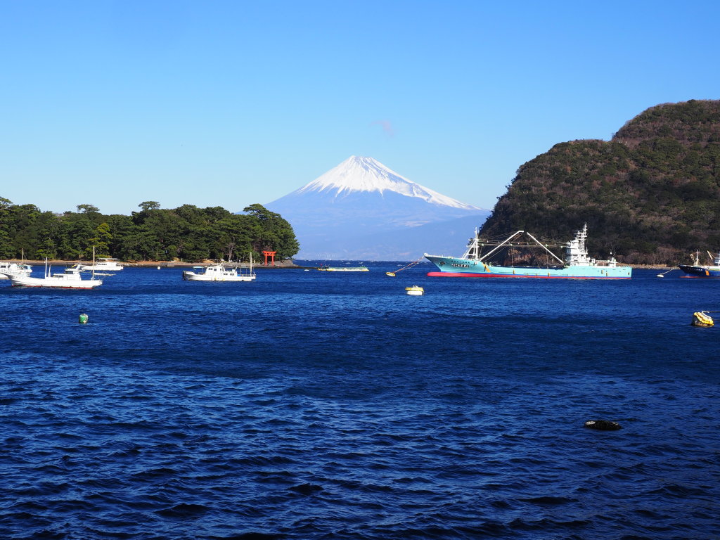 ��l�`����̕x�m�R