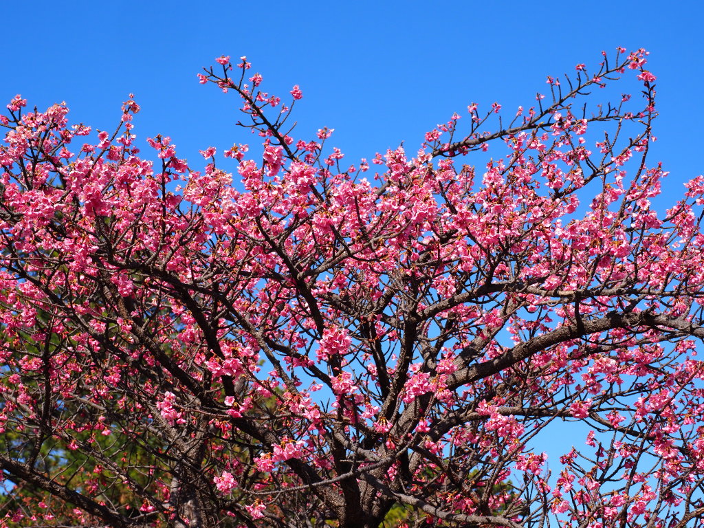 �y����@�O���炫