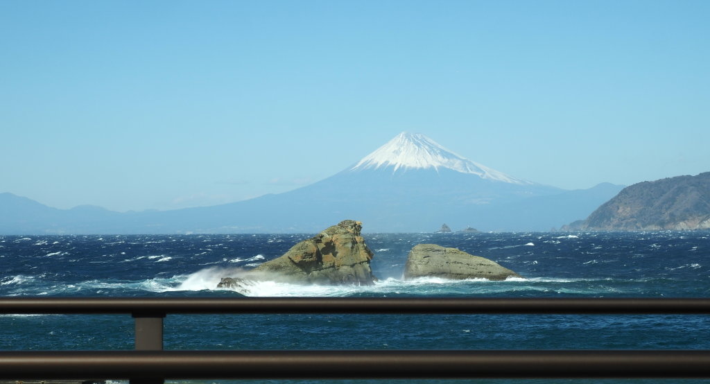 �_���勴����̕x�m�R