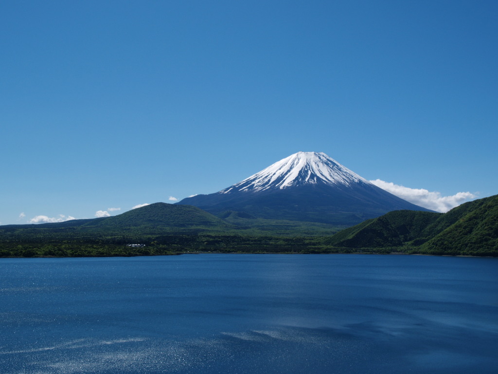 �V�΂̕x�m�R