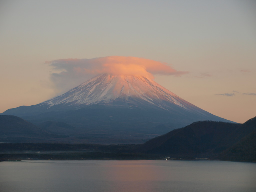 �s���N�̊}�_�ƕx�m�R