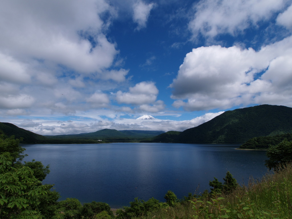 �{���΂Ɖ_�ƕx�m�R