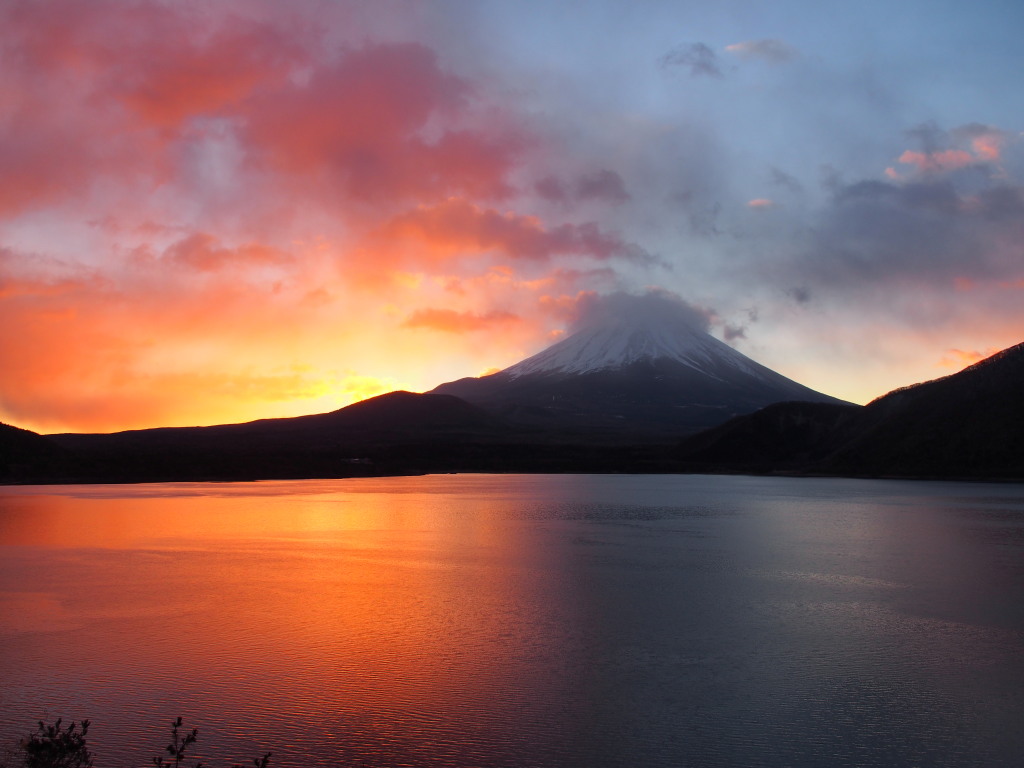 ���Ă��̕x�m�R