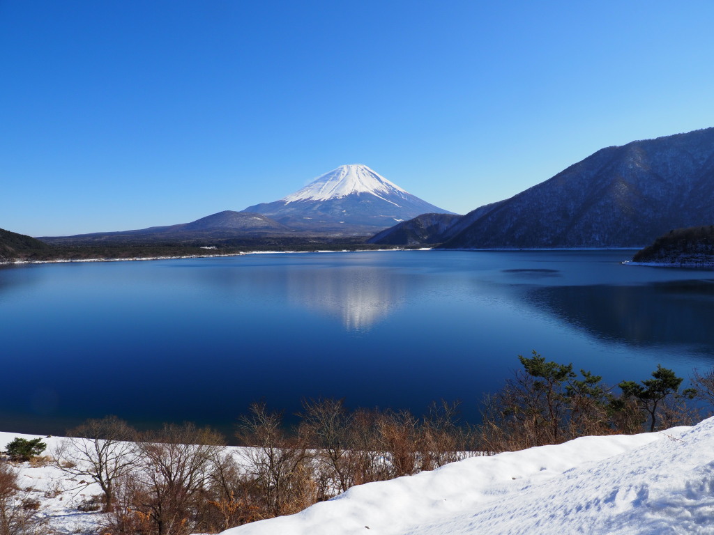 ��̖{����