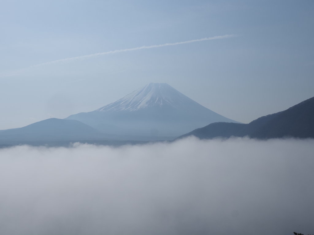 �_�C�ƕx�m�R