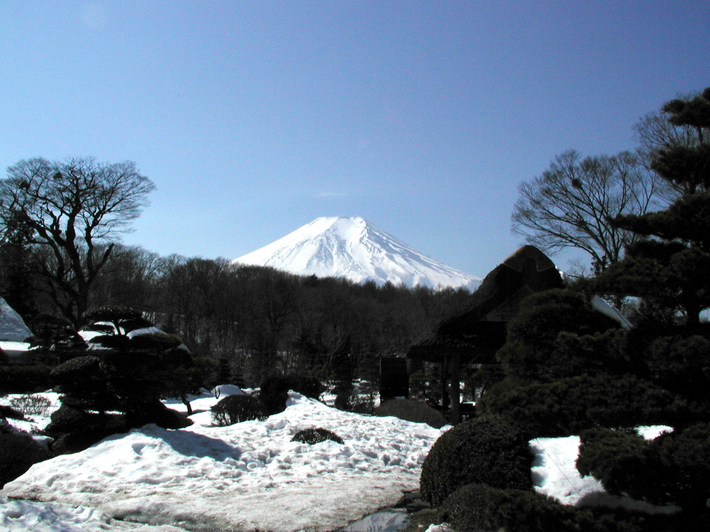 �E��@�~�̕x�m�R