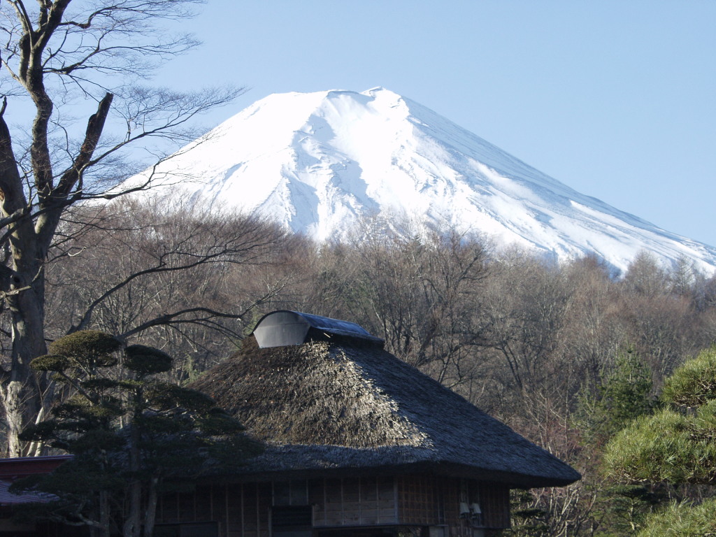 �E��@�~�̕x�m�R