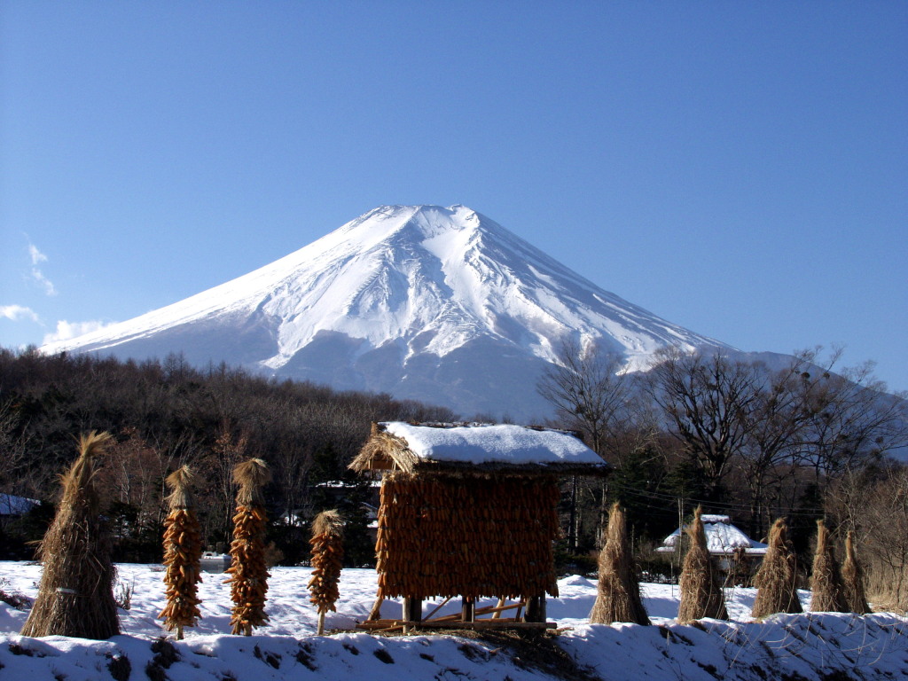 �E��@�~�̕x�m�R