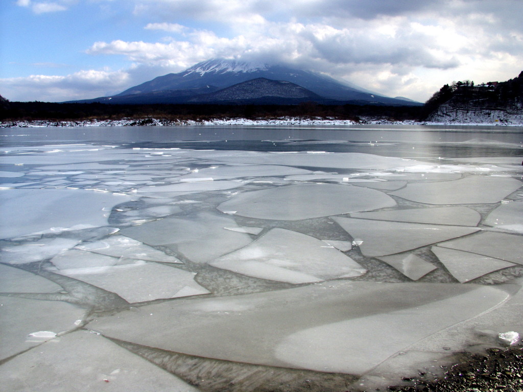 ���i�΁@���X�Ǝq�Ȃ��x�m