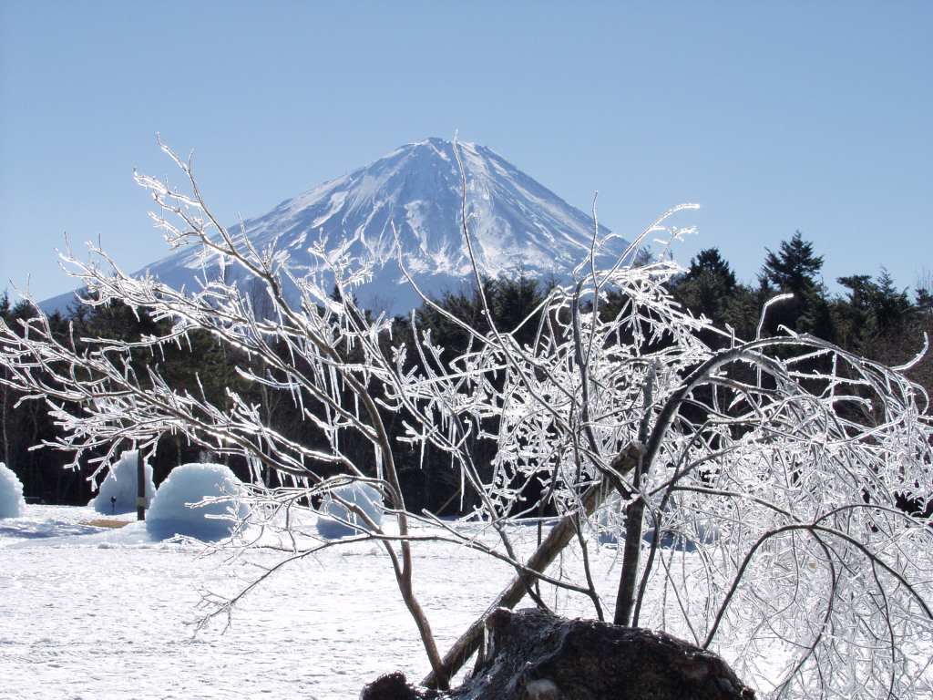 ���΁@���X�ƕx�m�R