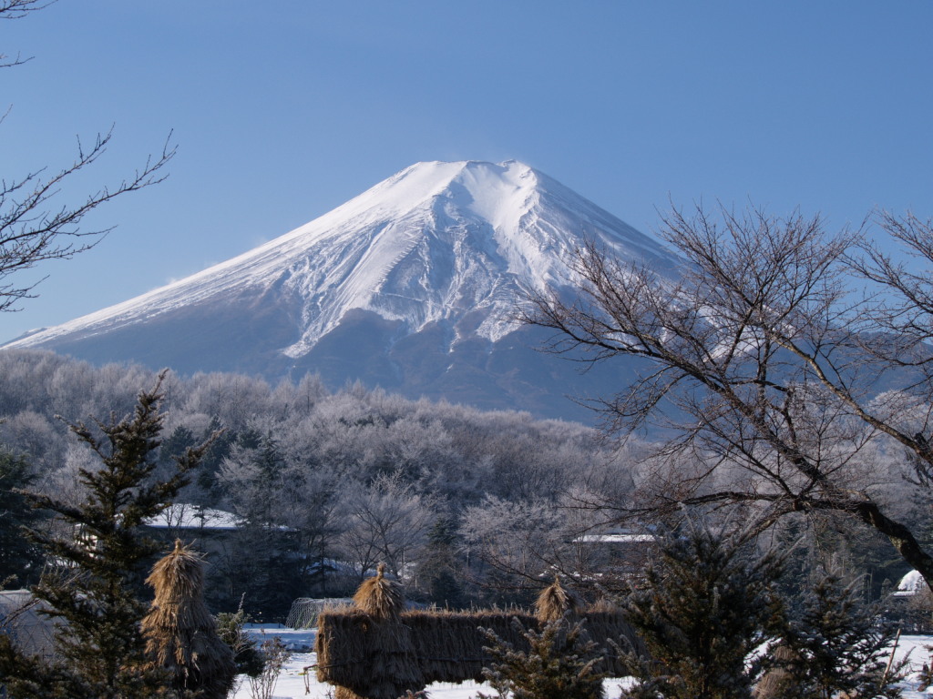 �E��@���X�ƕx�m�R