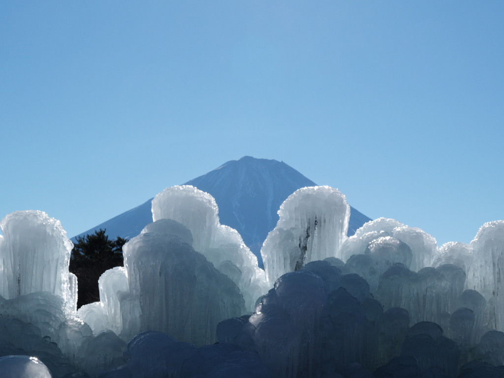 ���΁@�X���ƕx�m�R