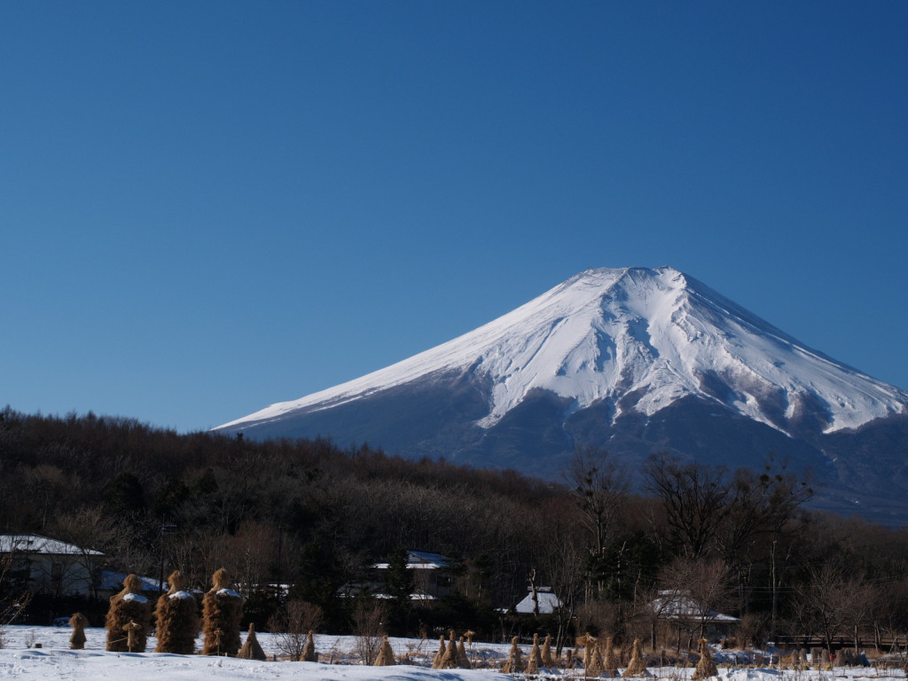 �E��@���΂��x�m�R