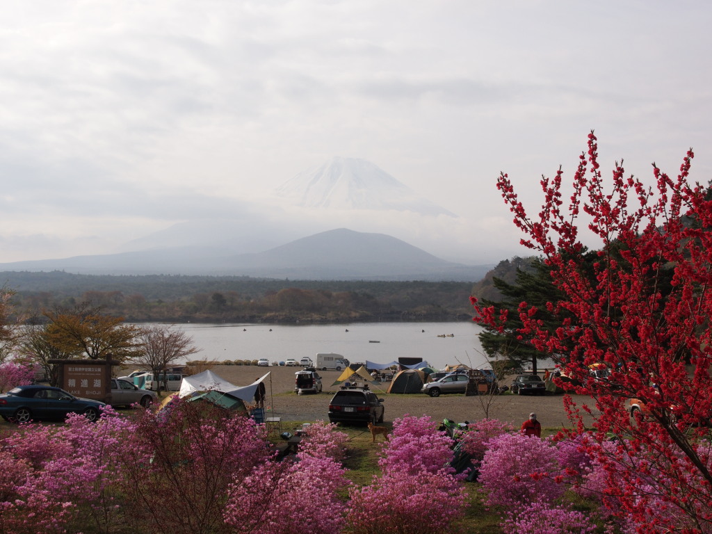 ���i�΁@���Ƃ�������x�m�R