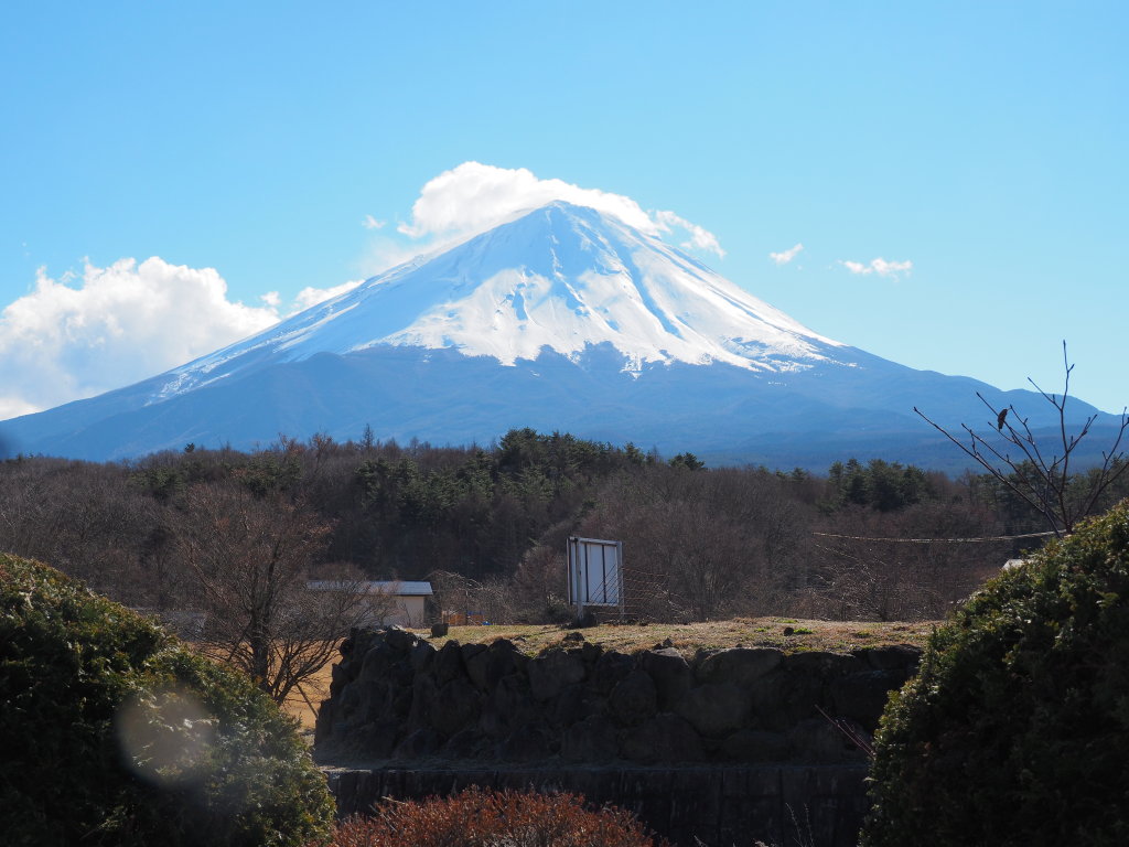 �򂩂�̕x�m�R