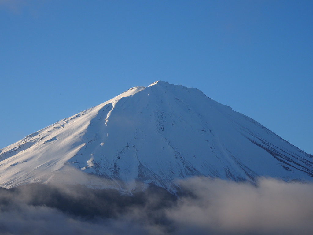 �򂩂�̕x�m�R