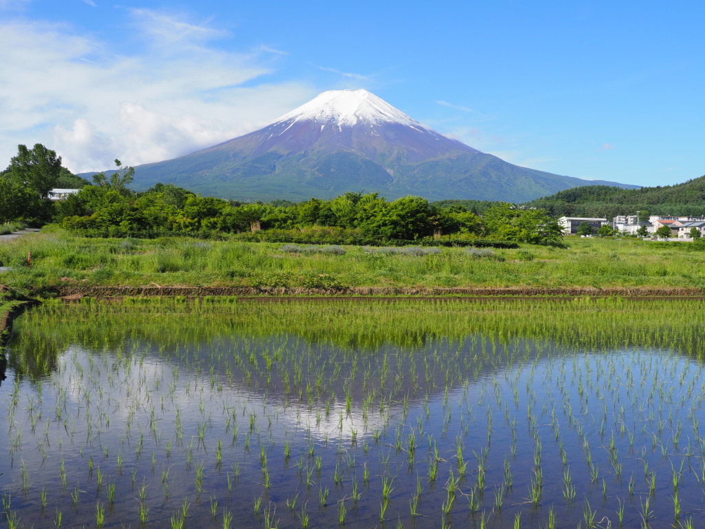 �_����������̋t���x�m