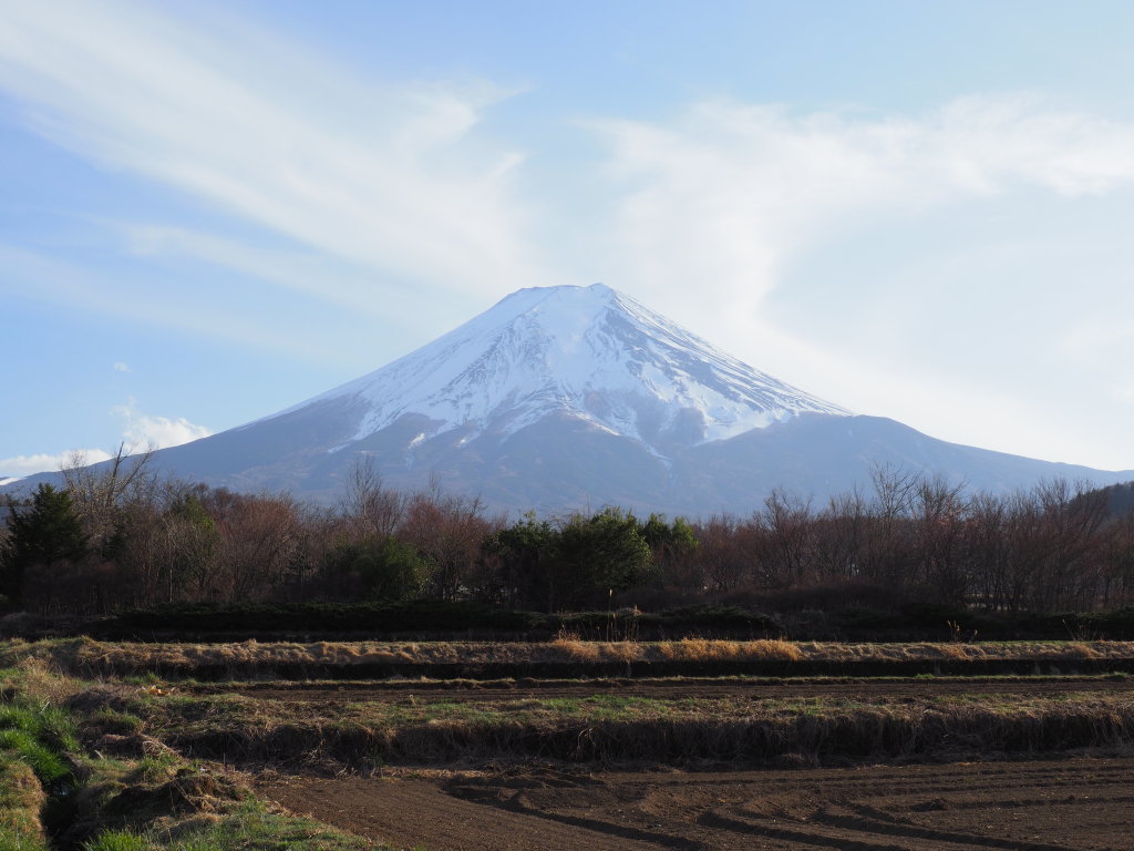 �_����������