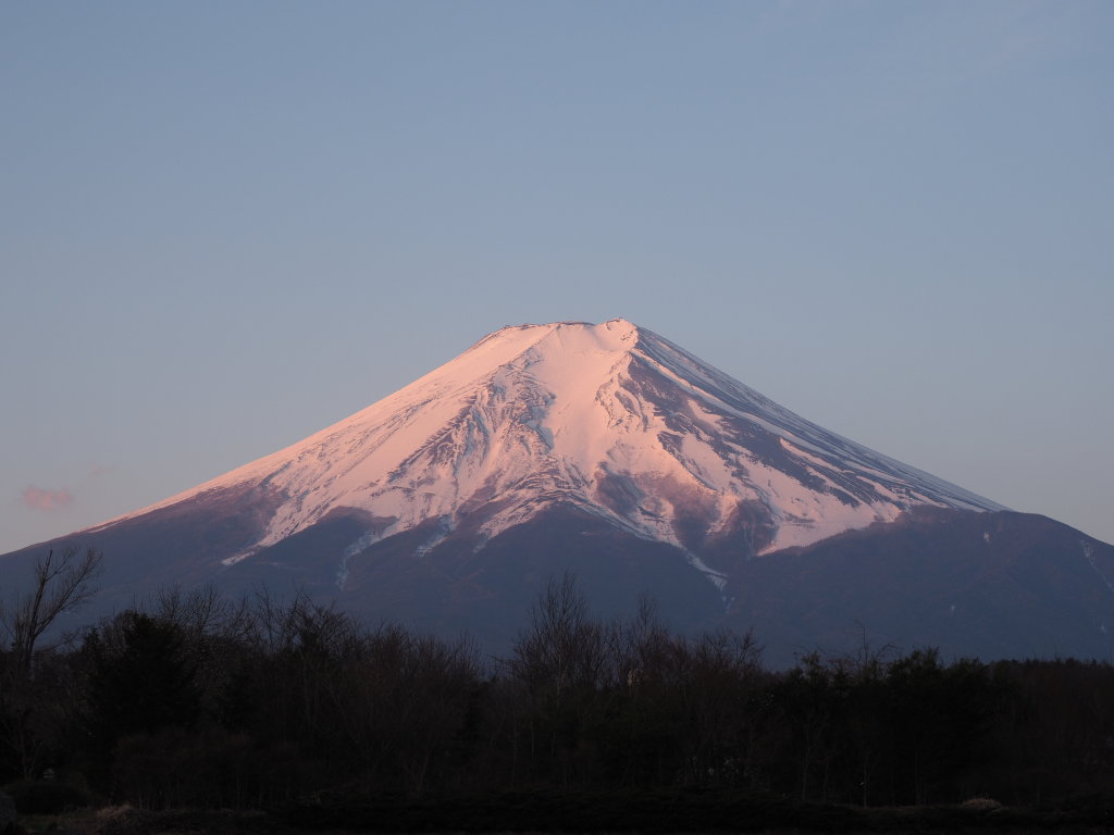 �_����������̒��Ă��̕x�m�R