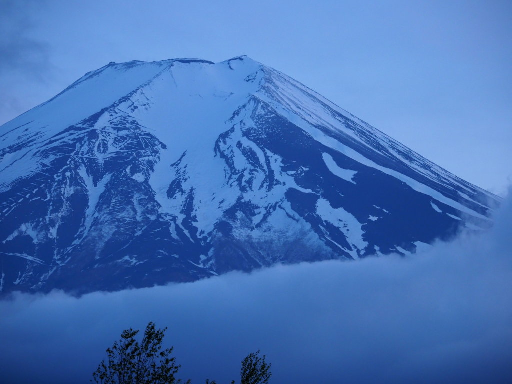 �_����������_��������