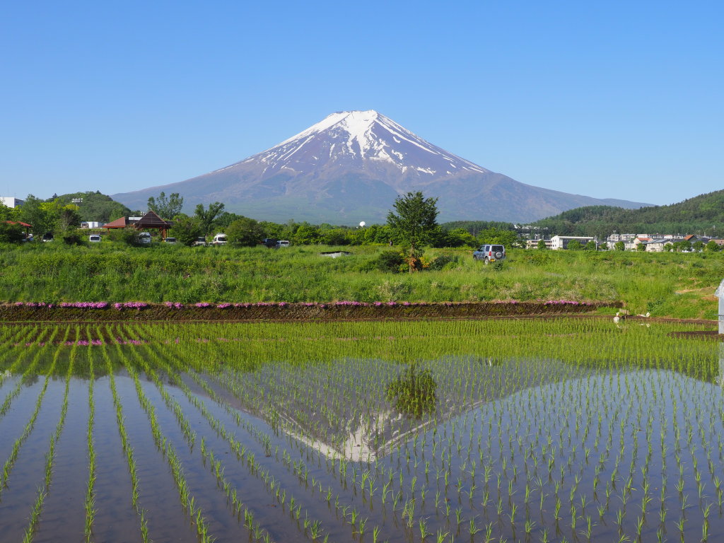 �_����������c�A���ƕx�m�R