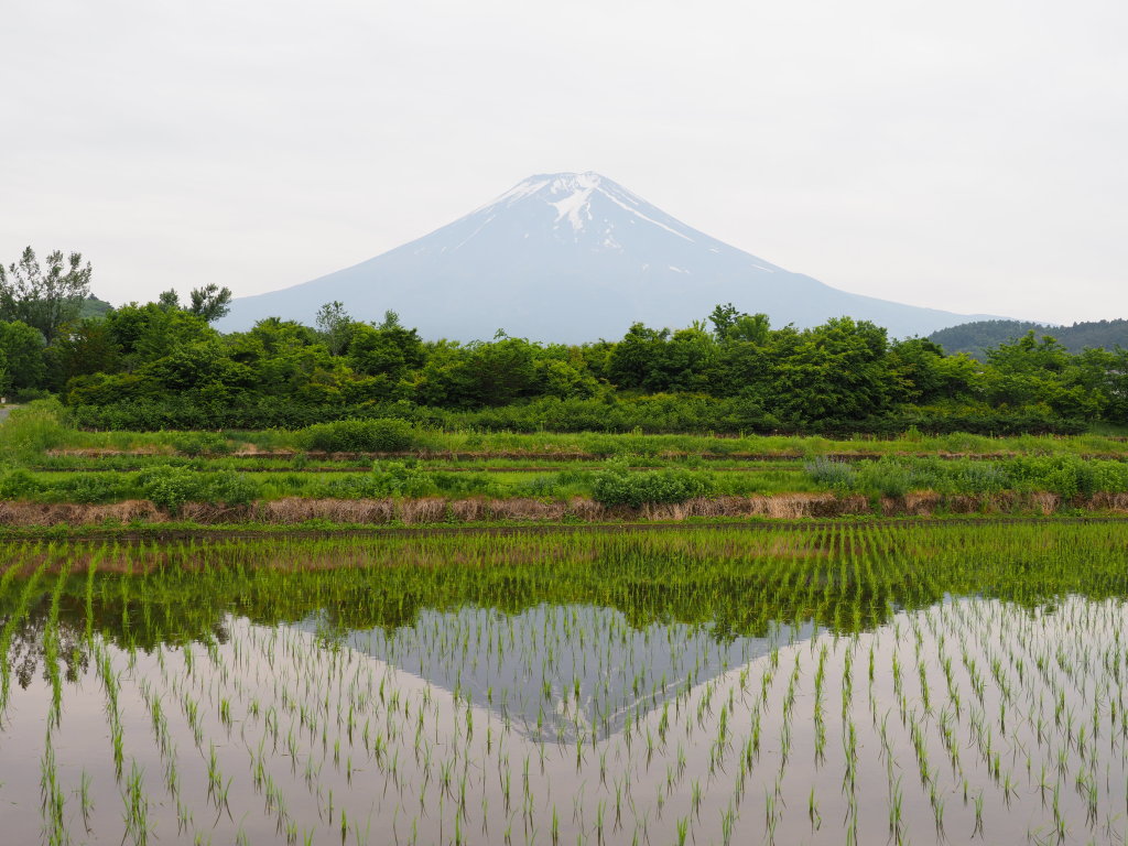 �_�����������ƕx�m�R