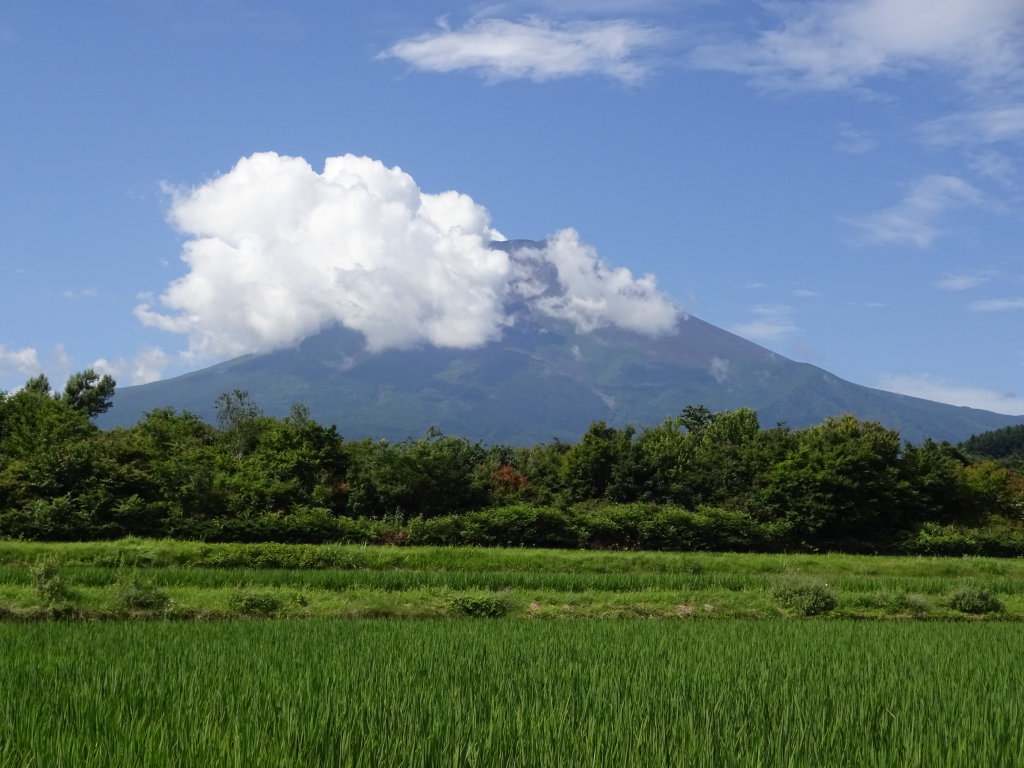 �_����������