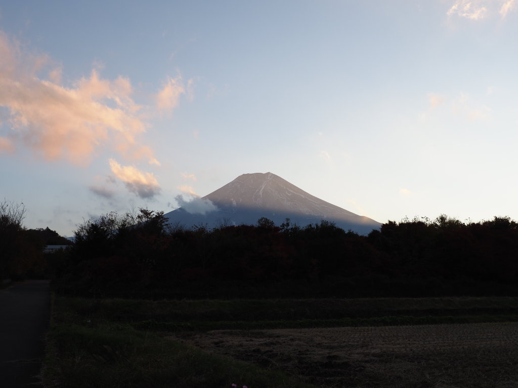 �_������ �[�Ă��̕x�m�R