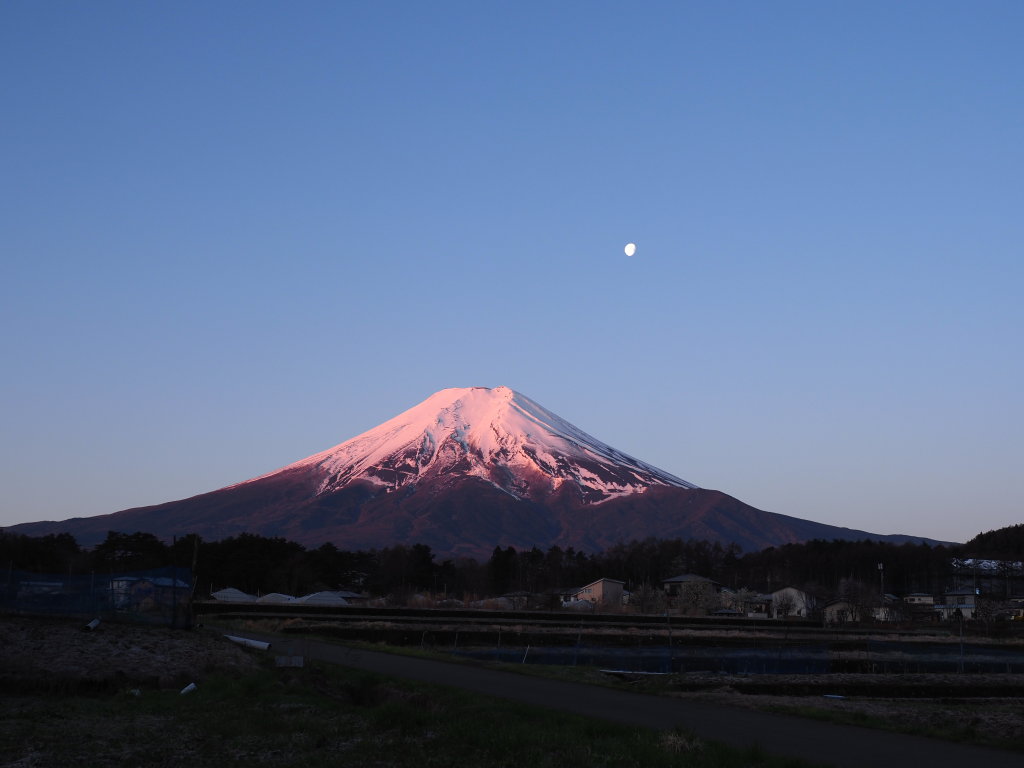 �_�������@�g�x�m