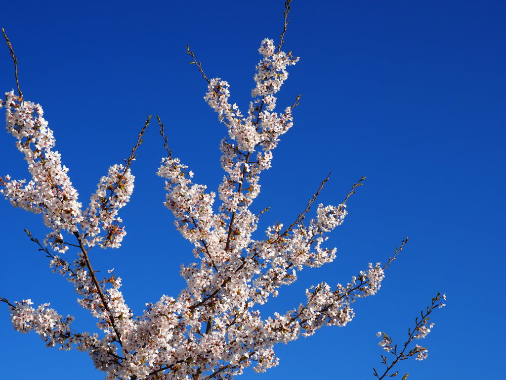 �_�������@�����J