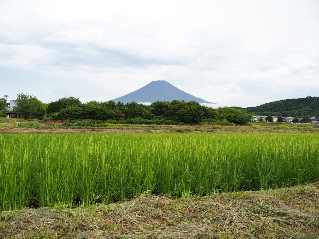 �_�������@�������