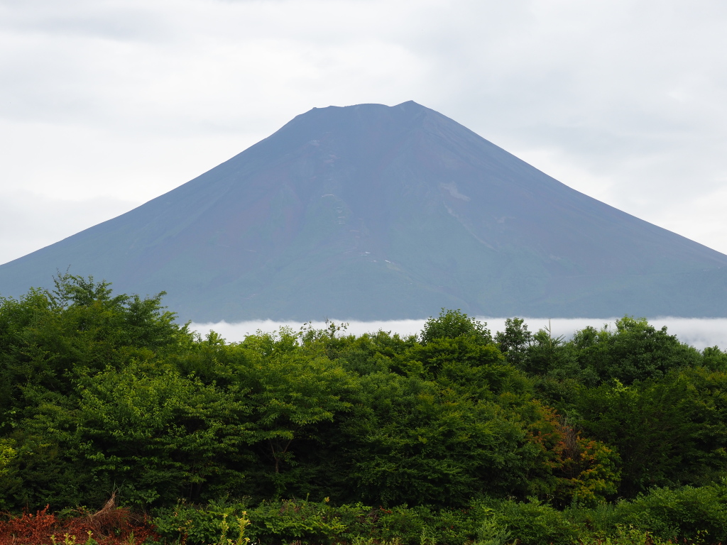 �_�������@�[�Ă�