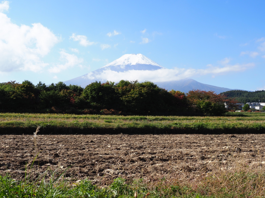 �_�������@���I��