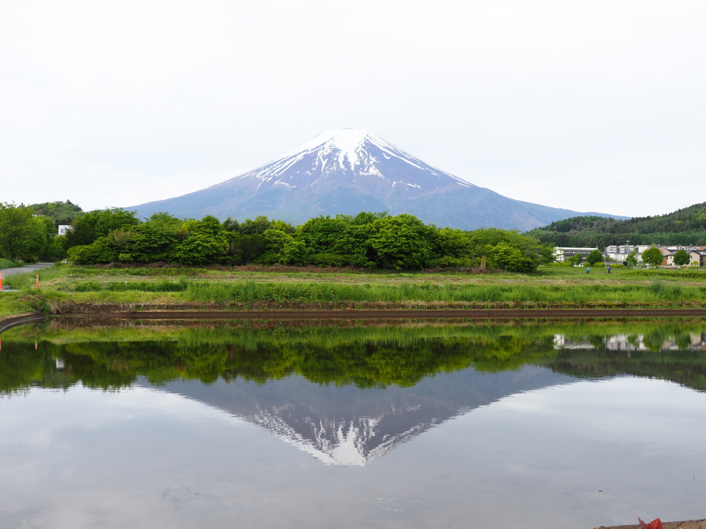 �_�������@�t���x�m